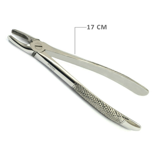 Extraction Forceps Fig. 1