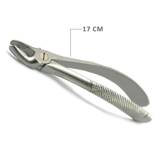Dental Extracting Forceps | Extraction Forceps | HYADES Instruments
