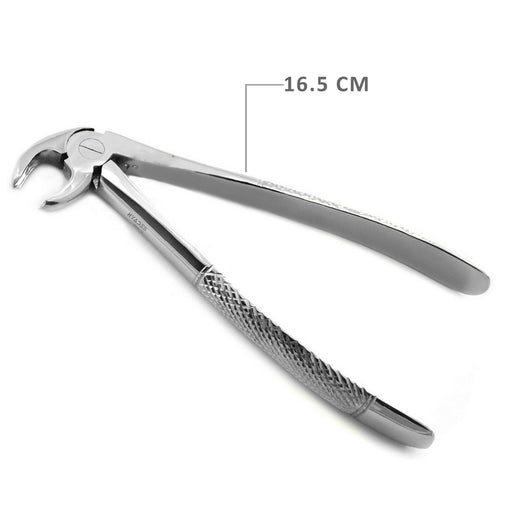 Extraction Forceps Fig. 22